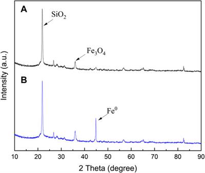 Immobilized nanoscale zero-valent iron for synergistic enhanced removal of pentachlorobenzene with Pseudomonas sp. JS100